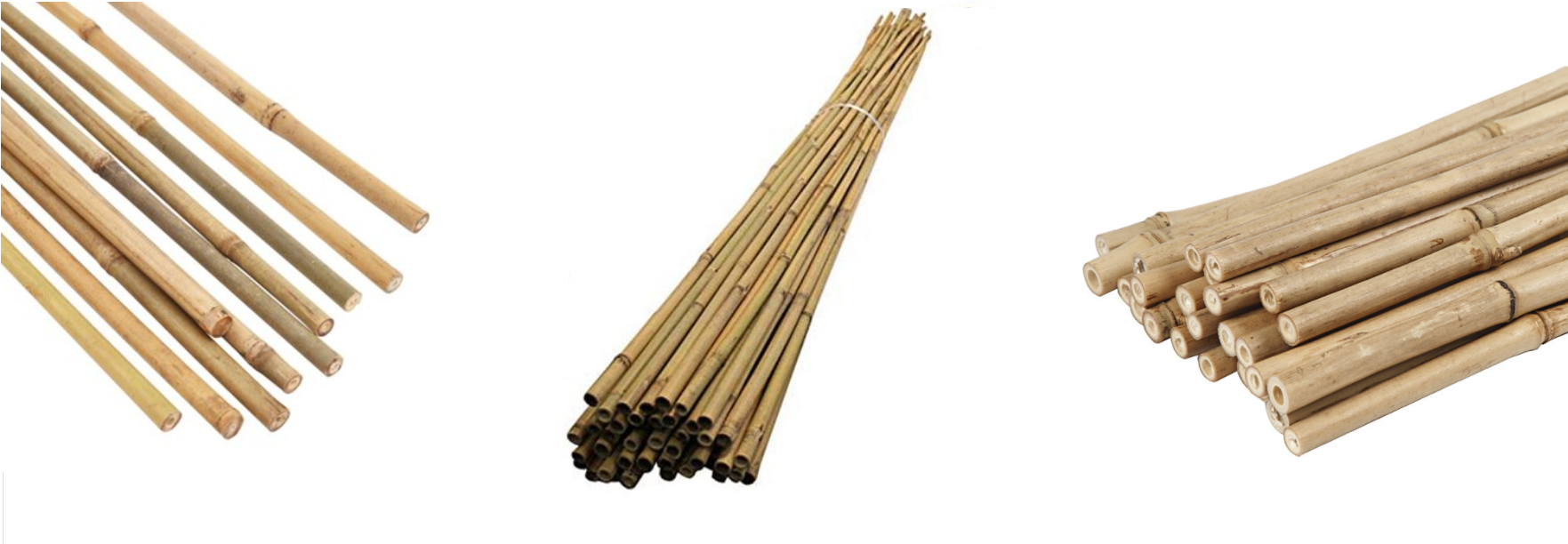 1-Bambus-spinde-3.png Bamboo Rods / Garden Flower Stakes 170-175 cm