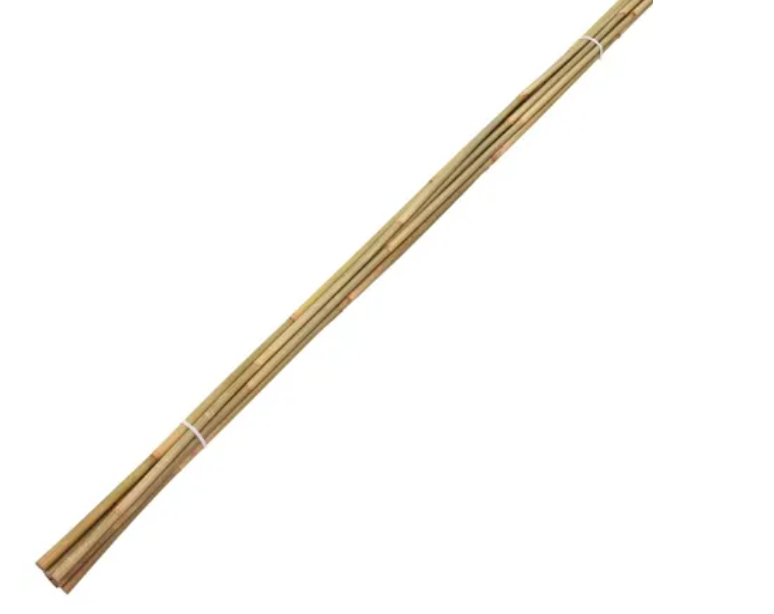 1-Bambuspinde-bund-1.png Bamboo Rods / Garden Flower Stakes 170-175 cm