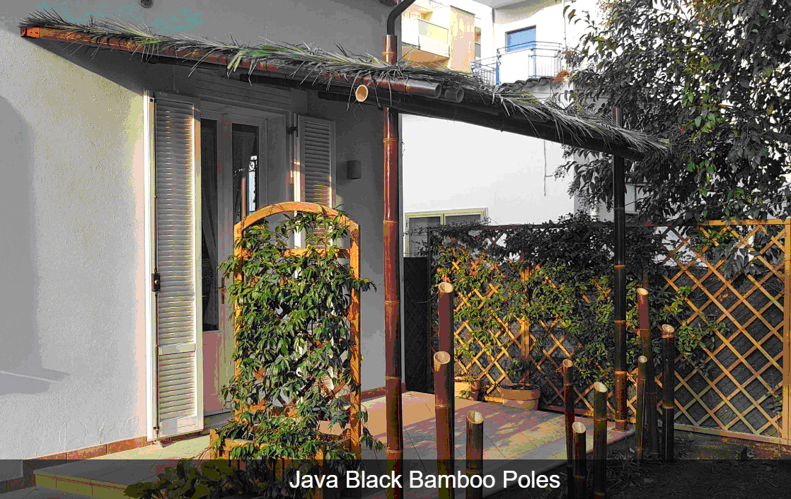 1-Java-Black-Bamboo-Pole.png Java Black Bamboo Pole Ø 5-7 x 200 cm