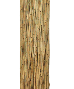 Extra Thick Reed Fence Roll 300 x 150 cm