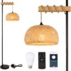 Rayofly Vintage Wooden Floor Lamp with Remote Control and LED Bulb, App Control
