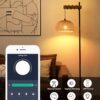 Rayofly Vintage Wooden Floor Lamp with Remote Control and LED Bulb, App Control