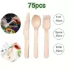75 Disposable Tableware Pieces