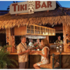 Handmade Thatched Roof, Palm Thatch 100 x 500 cm