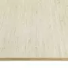 Bamboo Panel 10 mm Caramel