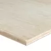 Bamboo Panel 10 mm Caramel