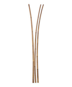 Tali Bamboo Decoration Pole &Oslash; 3-4 x 200 cm