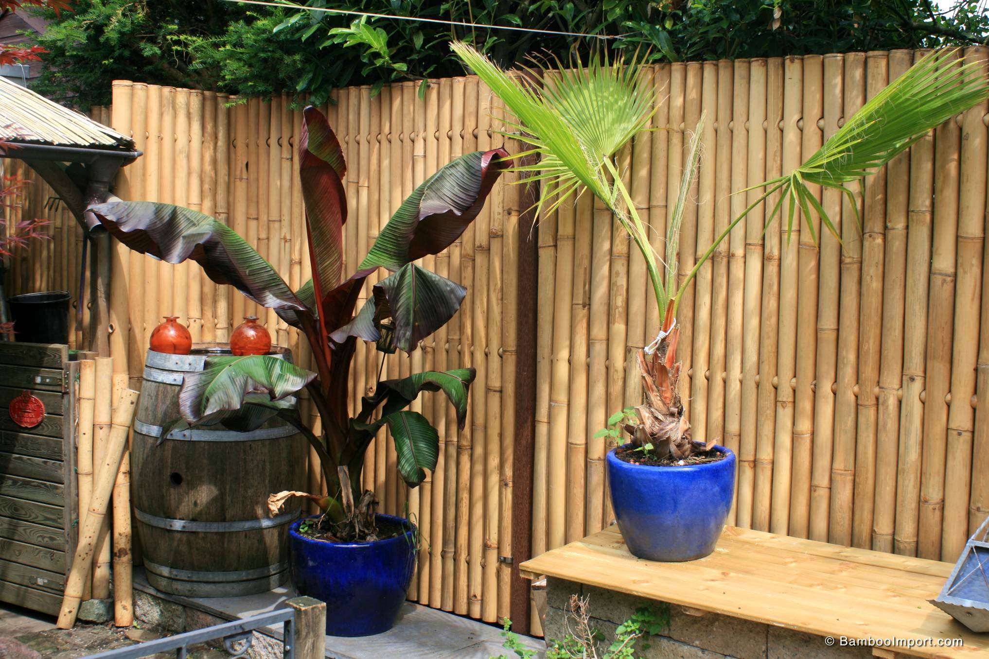bamboe_tuinschermen_giant-004-2034x1356-1.jpg Giant Bamboo Fence Panel 180 x 200 cm