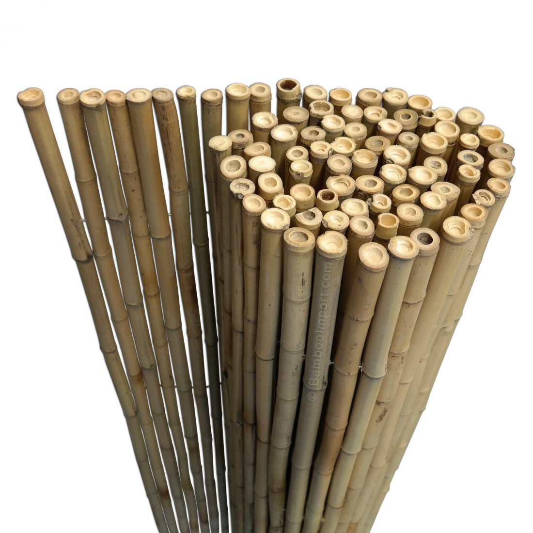 bamboemat-op-rol-large-1100x1100-5.jpg Bamboo Fencing Roll 180 x 150 cm