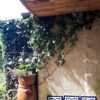 Bamboo Fencing Roll Deluxe 180 x 180 cm