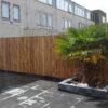 Bamboo Fencing Roll Deluxe 180 x 200 cm