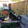 Bamboo Fencing Roll Deluxe 180 x 150 cm