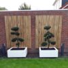 Bamboo Fencing Roll Deluxe 180 x 180 cm