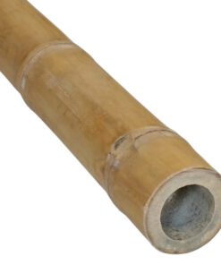 Guadua Bamboo Piece &Oslash; 5-7 x 150 cm