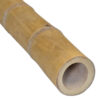 Guadua Bamboo Pole &Oslash; 7-9 x 150 cm