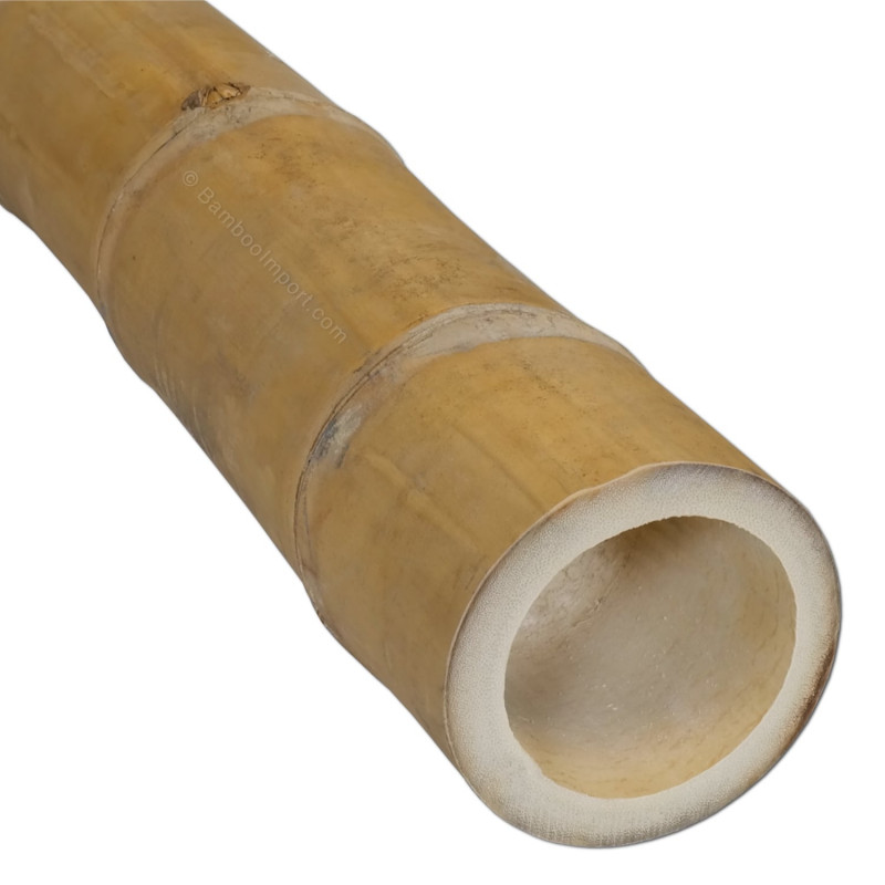 bamboepaal-guadua-9-11-cm-800x800-5.jpg Guadua Bamboo Piece Ø 9-11 x 500 cm