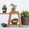 Bamboo Plant Flower Stand