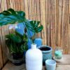 Split Bamboo Fence 500 x 100 cm