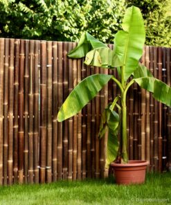 Giant Black Bamboo Fence Panel 180 x 200 cm