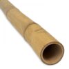 Guadua Bamboo Pole &Oslash; 5-7 x 500 cm