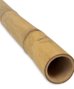 Guadua Bamboo Pole &Oslash; 5-7 x 400 cm