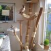 Guadua Bamboo Pole Ø 5-7 x 400 cm