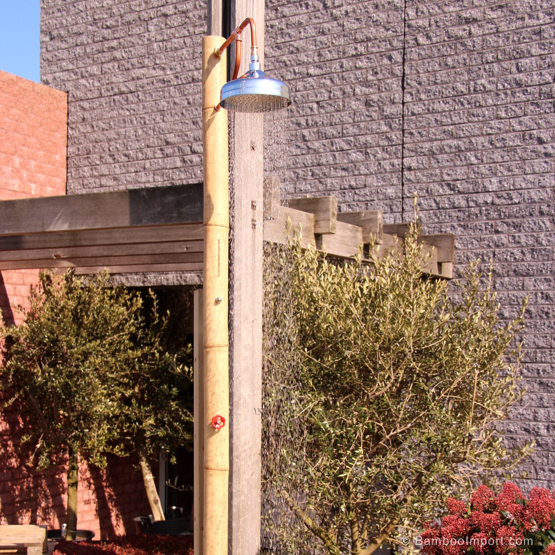guadua-bamboepalen-s003-1100x1100-1.jpg Guadua Bamboo Pole Ø 5-7 x 400 cm