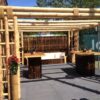 Guadua Bamboo Piece &Oslash; 9-11 x 600 cm