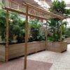 Guadua Bamboo Piece Ø 5-7 x 150 cm