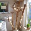 Guadua Bamboo Piece Ø 13-15 x 500 cm