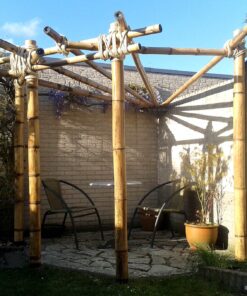 Guadua Bamboo Pole &Oslash; 9-11 x 300 cm