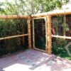 Guadua Bamboo Piece Ø 5-7 x 600 cm