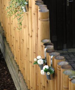 Guadua Bamboo Pole &Oslash; 7-9 x 500 cm