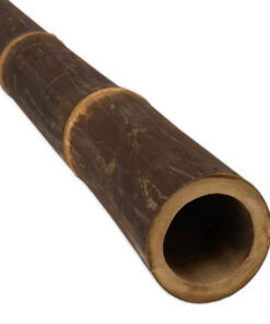 Black Bamboo Pole Java &Oslash; 7-10 x 100 cm
