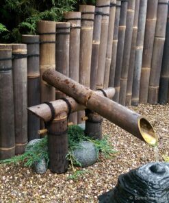 Java Black Bamboo Pole &Oslash; 8-10 x 500 cm