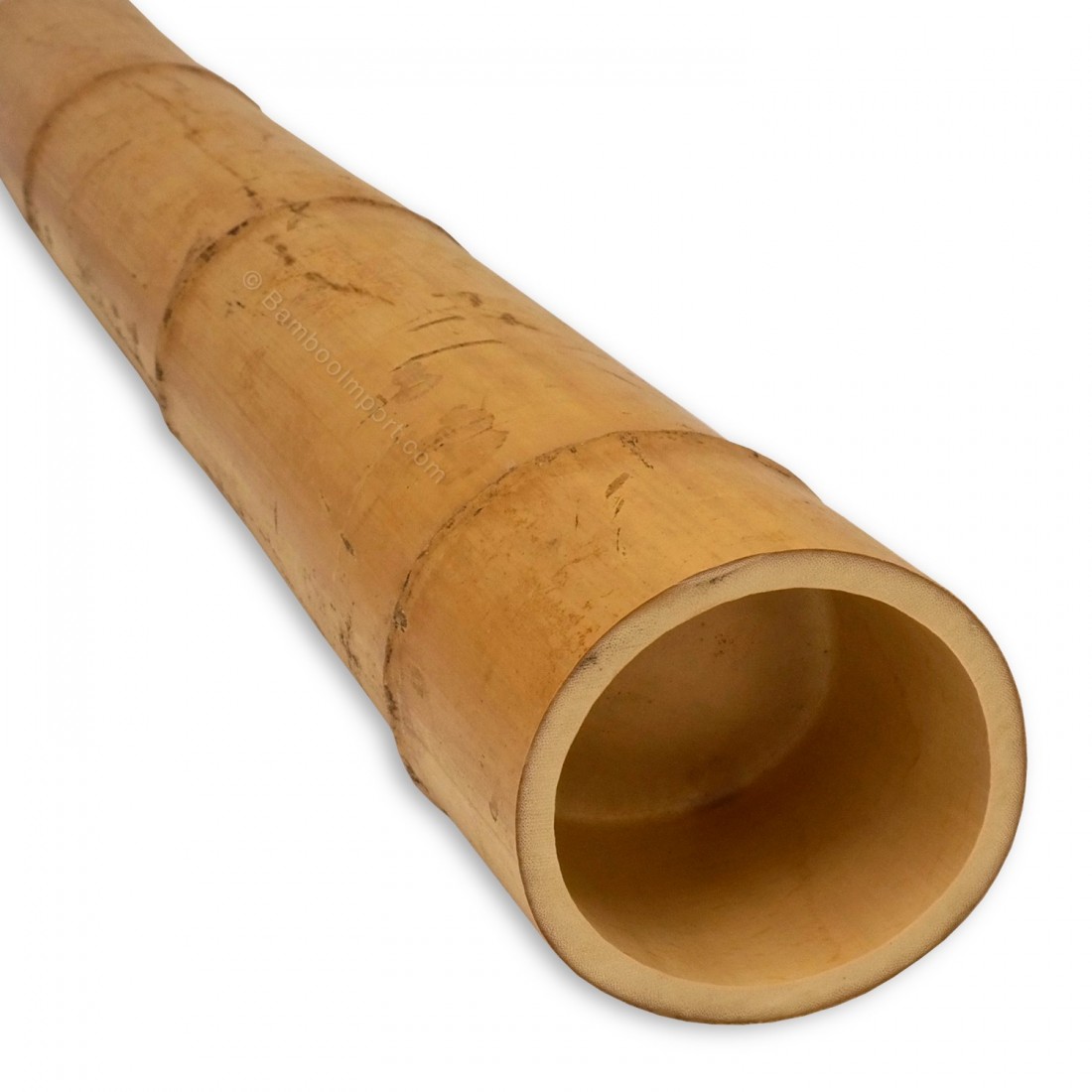 moso-bamboepaal-10-12-cm-1100x1100-3.jpg Moso Bamboo Pole Ø 10-12 x 300 cm