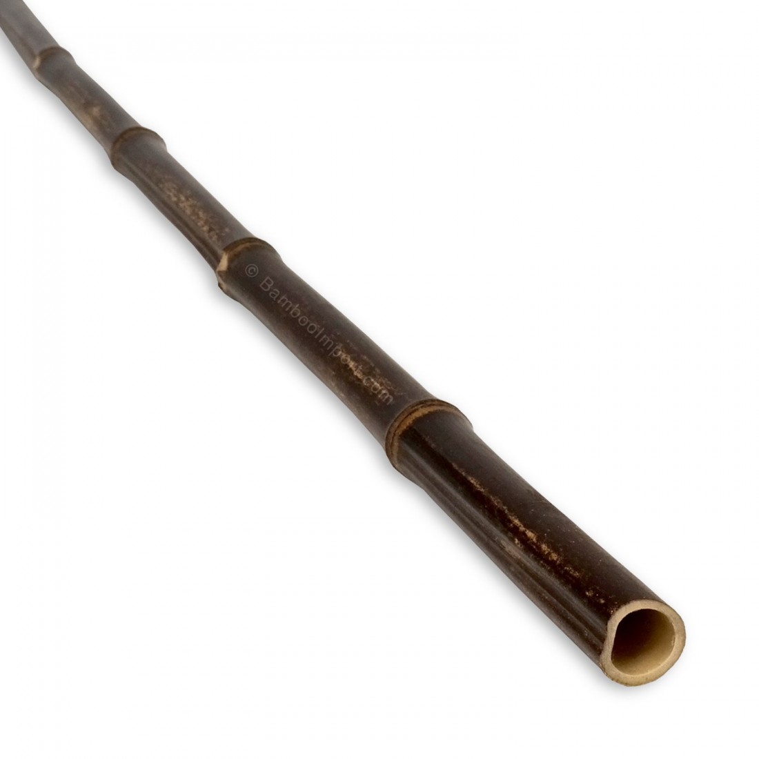 nigra-zwarte-bamboestok-2-cm-1100x1100-1.jpg Nigra Black Bamboo Pole Ø 2 x 400 cm