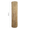 Reed Fence Roll 600 x 100 cm
