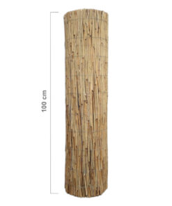 Reed Fence Roll 600 x 100 cm