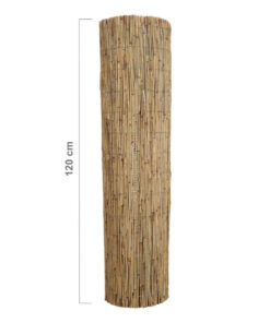 Reed Fence Roll 600 x 120 cm