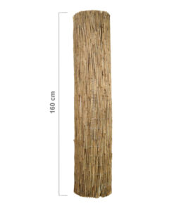 Reed Fence Roll 600 x 160 cm