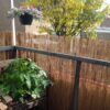 Reed Fence Roll 600 x 100 cm