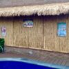 Reed Fence Roll 600 x 200 cm