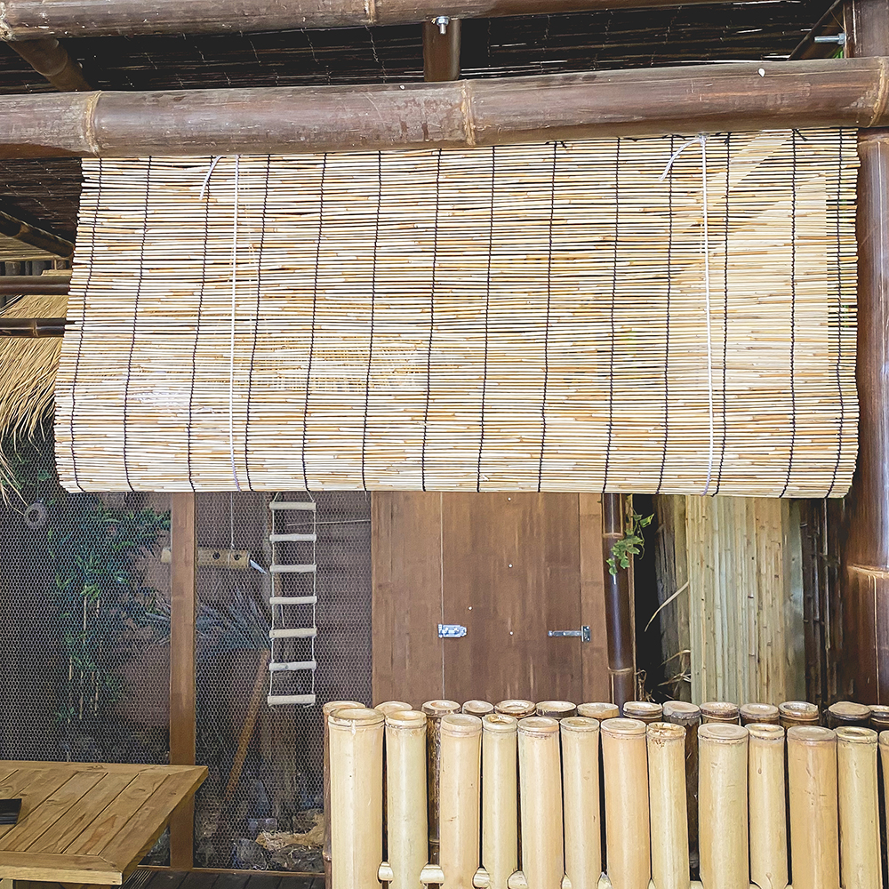 rolgordijn-def-1000x1000-1.jpg Reed Blind 60 x 250 cm