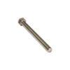 Stainless Steel Hex Socket Screw M8 x 100 mm