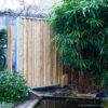 Tali Bamboo Pole &Oslash; 7-8 x 200 cm