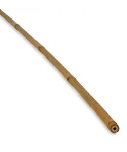 Tonkin Cane &Oslash; 10-12 mm x 183 cm