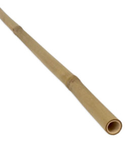 Tonkin Bamboo Pole &Oslash; 20-26 mm x 415 cm