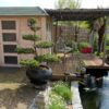 Willow Roll 300 x 175/180 cm