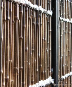 Nigra Black Bamboo Pole &Oslash; 3-4 x 300 cm